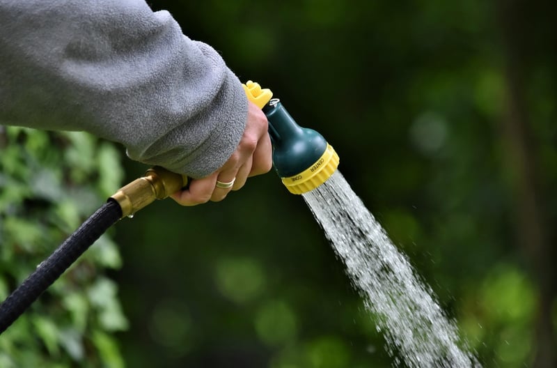 Watering System